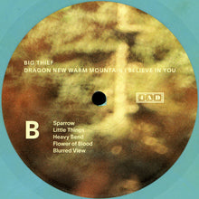 Load image into Gallery viewer, Big Thief : Dragon New Warm Mountain I Believe In You (2xLP, Album, Ran)
