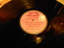 Load image into Gallery viewer, Carpenters : Made In America (LP, Album, Pit)

