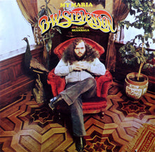 Load image into Gallery viewer, B. W. Stevenson* : My Maria (LP, Album, Hol)
