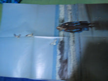 Load image into Gallery viewer, Judy Collins : Colors Of The Day (The Best Of Judy Collins) (LP, Comp, CRC)
