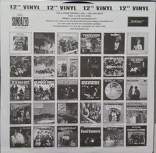 Load image into Gallery viewer, The Paul Butterfield Blues Band : The Paul Butterfield Blues Band (LP, Album, RE, 180)
