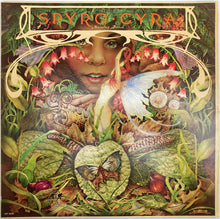 Load image into Gallery viewer, Spyro Gyra : Morning Dance (LP, Album, Pin)
