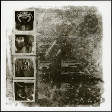 Load image into Gallery viewer, Pixies : Doolittle (LP, Album, RE, 180)
