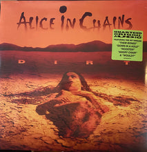 Laden Sie das Bild in den Galerie-Viewer, Alice In Chains : Dirt (2xLP, Album, RE, RM, 30t)
