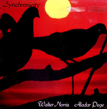 Load image into Gallery viewer, Walter Norris, Aladar Pege* : Synchronicity (LP, Album)
