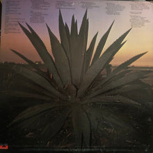Load image into Gallery viewer, Robb Strandlund : Robb Strandlund (LP, Album, Promo)
