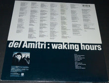 Laden Sie das Bild in den Galerie-Viewer, Del Amitri : Waking Hours (LP, Album)
