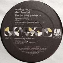 Laden Sie das Bild in den Galerie-Viewer, Del Amitri : Waking Hours (LP, Album)
