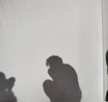 Laden Sie das Bild in den Galerie-Viewer, Harry Styles : Harry’s House (LP, Album)
