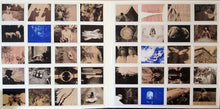 Laden Sie das Bild in den Galerie-Viewer, The Decemberists : The King Is Dead (LP, Album, 180)
