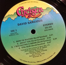 Load image into Gallery viewer, David Sancious : David Sancious (LP, Album)
