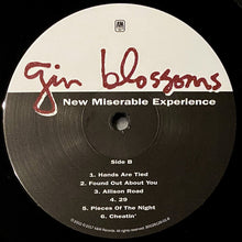 Laden Sie das Bild in den Galerie-Viewer, Gin Blossoms : New Miserable Experience (LP, Album, RE)
