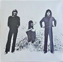 Load image into Gallery viewer, Fleetwood Mac : Then Play On (LP, Album, RE, Gat)
