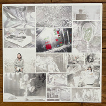 Load image into Gallery viewer, LCD Soundsystem : Sound Of Silver (2xLP, Album, RE, Gat)
