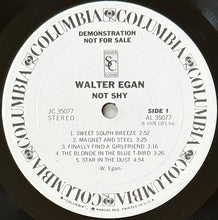 Load image into Gallery viewer, Walter Egan : Not Shy (LP, Album, Promo, Ter)
