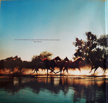 Load image into Gallery viewer, Lucinda Williams : West (2xLP, Album)
