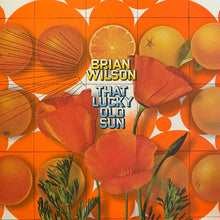 Laden Sie das Bild in den Galerie-Viewer, Brian Wilson : That Lucky Old Sun (LP, Album, Ltd)
