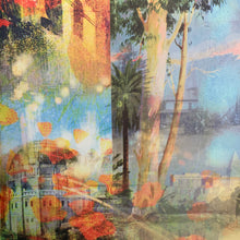 Laden Sie das Bild in den Galerie-Viewer, Brian Wilson : That Lucky Old Sun (LP, Album, Ltd)
