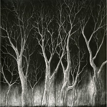 Load image into Gallery viewer, Radiohead : The King Of Limbs (LP, Album)
