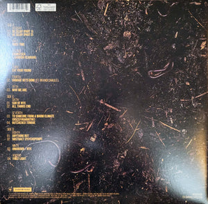 Hozier : Unreal Unearth (2xLP, Album)