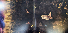 Charger l&#39;image dans la galerie, Hozier : Unreal Unearth (2xLP, Album)
