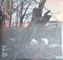 Load image into Gallery viewer, Black Sabbath : Black Sabbath (LP, Album, RE, RM, 180)
