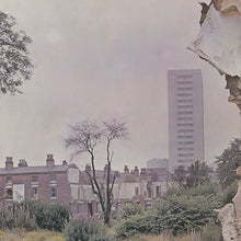 Laden Sie das Bild in den Galerie-Viewer, Led Zeppelin : Untitled (LP, Album, RE, SP )
