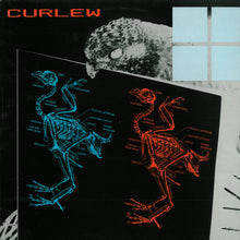 Load image into Gallery viewer, Curlew : Curlew (LP, Album, RP)
