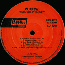 Load image into Gallery viewer, Curlew : Curlew (LP, Album, RP)
