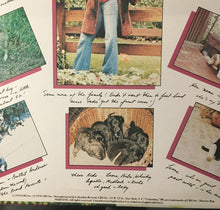 Laden Sie das Bild in den Galerie-Viewer, Barbra Streisand : Songbird (LP, Album)
