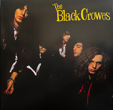 Charger l'image dans la galerie, The Black Crowes : Shake Your Money Maker (LP, Album, RE, RM, 30t)
