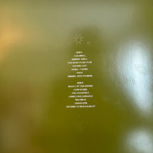 Charger l'image dans la galerie, Kacey Musgraves : Deeper Well (LP, Album, Cle)
