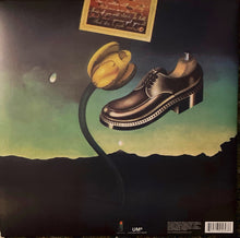Laden Sie das Bild in den Galerie-Viewer, Nick Drake : Pink Moon (LP, Album, RE, 180)
