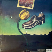 Laden Sie das Bild in den Galerie-Viewer, Nick Drake : Pink Moon (LP, Album, RE, 180)
