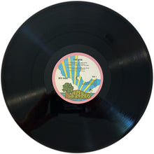 Laden Sie das Bild in den Galerie-Viewer, Nick Drake : Pink Moon (LP, Album, RE, 180)
