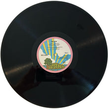 Laden Sie das Bild in den Galerie-Viewer, Nick Drake : Pink Moon (LP, Album, RE, 180)
