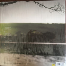Load image into Gallery viewer, Tori Amos : Night Of Hunters (2xLP, Album)
