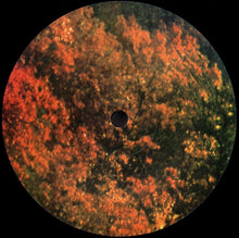 Laden Sie das Bild in den Galerie-Viewer, Tame Impala : Innerspeaker (2xLP, Album, RE)
