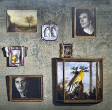 Load image into Gallery viewer, Sade : Soldier Of Love (LP, Album, RE, RM, Hal)
