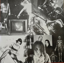 Load image into Gallery viewer, Nirvana : In Utero (LP, RE)
