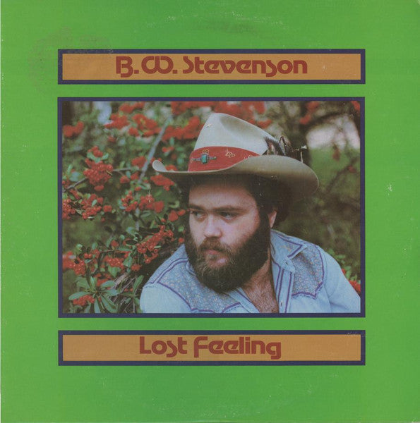B.W. Stevenson : Lost Feeling (LP, Album)