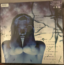 Load image into Gallery viewer, Eminem : The Slim Shady LP (2xLP, Album, RE, RM)
