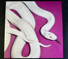 Laden Sie das Bild in den Galerie-Viewer, Deftones : Private Music (LP, Album, Ltd, Gre)
