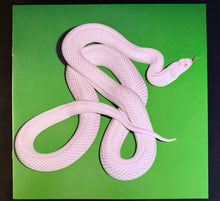 Laden Sie das Bild in den Galerie-Viewer, Deftones : Private Music (LP, Album, Ltd, Gre)
