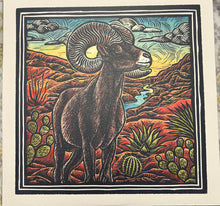 Load image into Gallery viewer, Various : Texas Wild (LP, Album, Comp, Bioplastic, Dlx, Tex)
