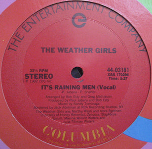 The Weather Girls : It's Raining Men (12")