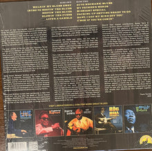 Load image into Gallery viewer, Sonny Terry &amp; Brownie McGhee : Live From the Ash Grove (12&quot;, Album, RSD)
