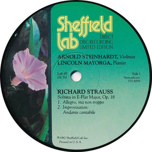 Strauss*, Dvořák* / Arnold Steinhardt & Lincoln Mayorga : Romantic Music For Violin And Piano - Strauss And Dvorak (LP, Album, Ltd, Dir)