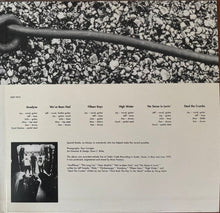 Load image into Gallery viewer, Uncle Tupelo : Anodyne (LP, Album, Ltd, Num, RE, 180)
