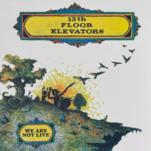 Load image into Gallery viewer, 13th Floor Elevators : We Are Not Live (LP, Album, RSD, Mono, RE)
